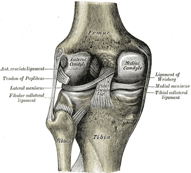 Read more about the article Important Things to Know if You Suffer a Torn Meniscus at Work