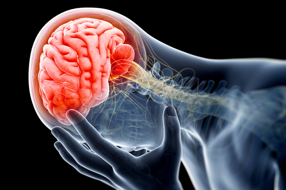 Read more about the article Brain Injuries Impact | How Accident Defenders Attorneys Assist with Your Work Injury Claim